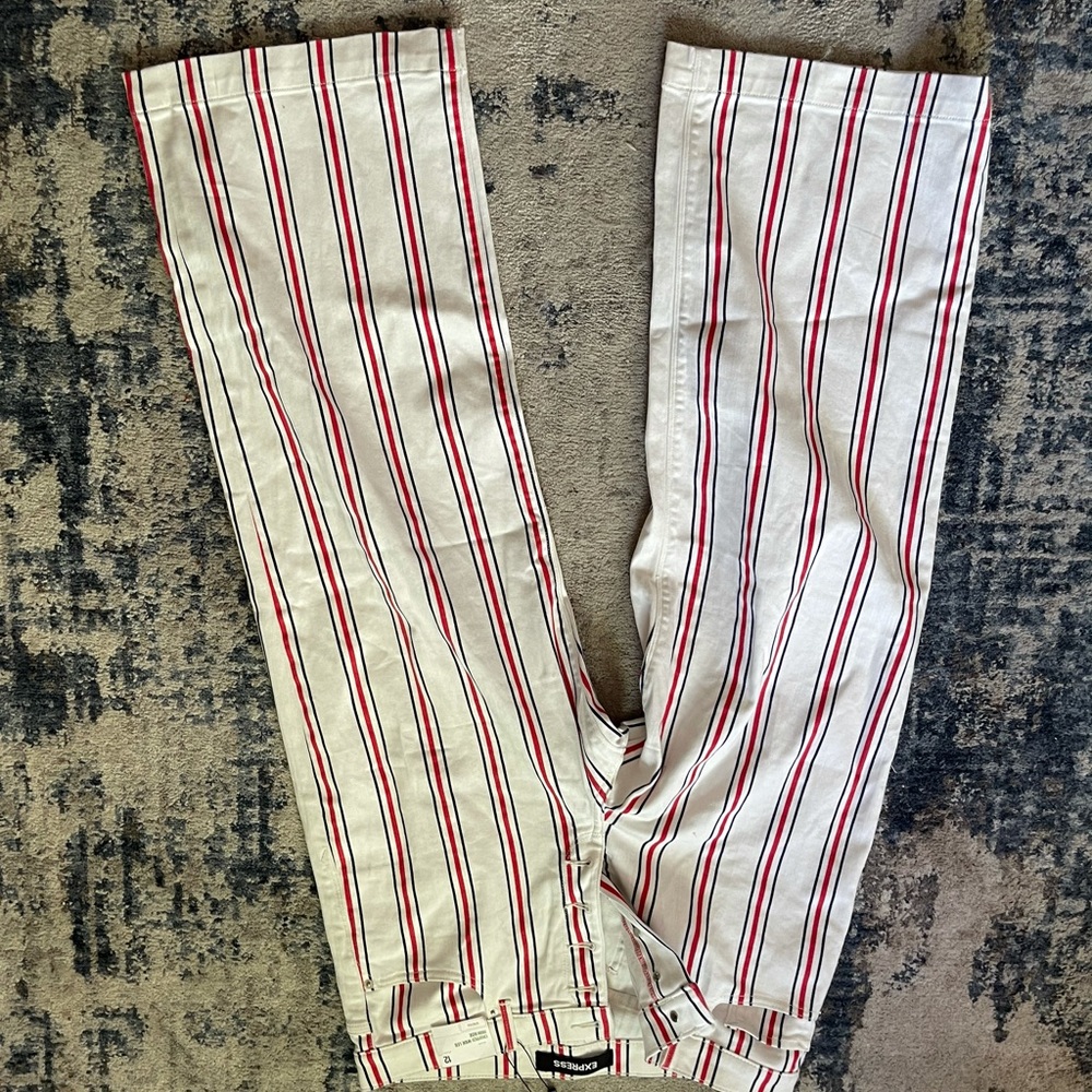 Express new with tags striped pants